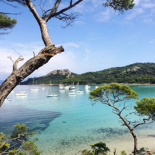 「月亮海灘🏖️夏日避暑流連忘返！」