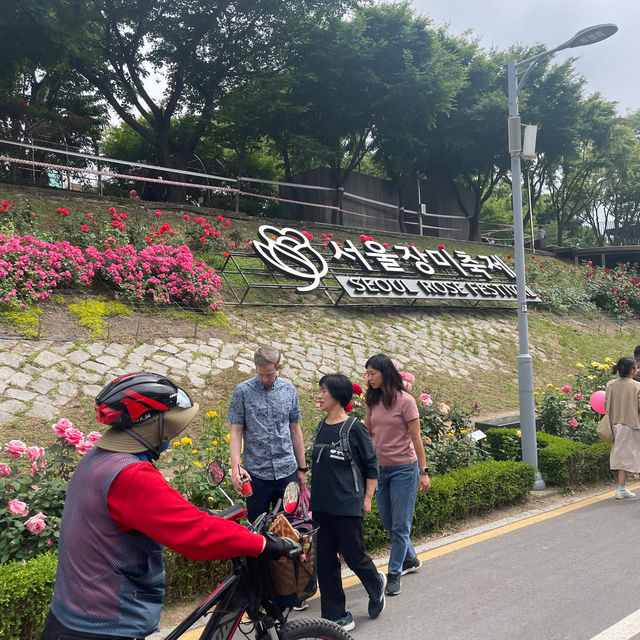 Rose season in Seoul