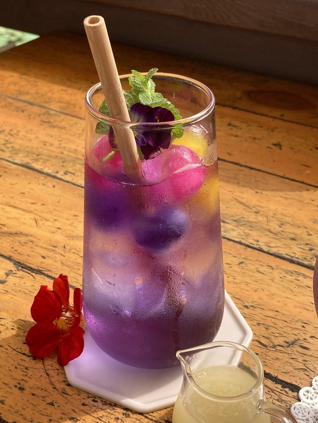 🌸향긋한 꽃차 마시며 힐링 가평 카페 ’오롯이,꽃‘