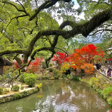 探訪福岡附近的太宰府，賞紅葉的地方