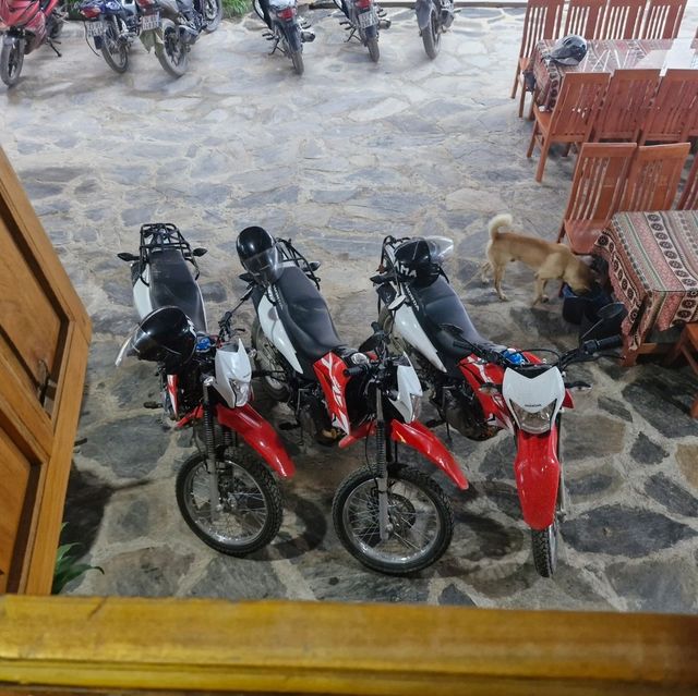 ha gaing loop