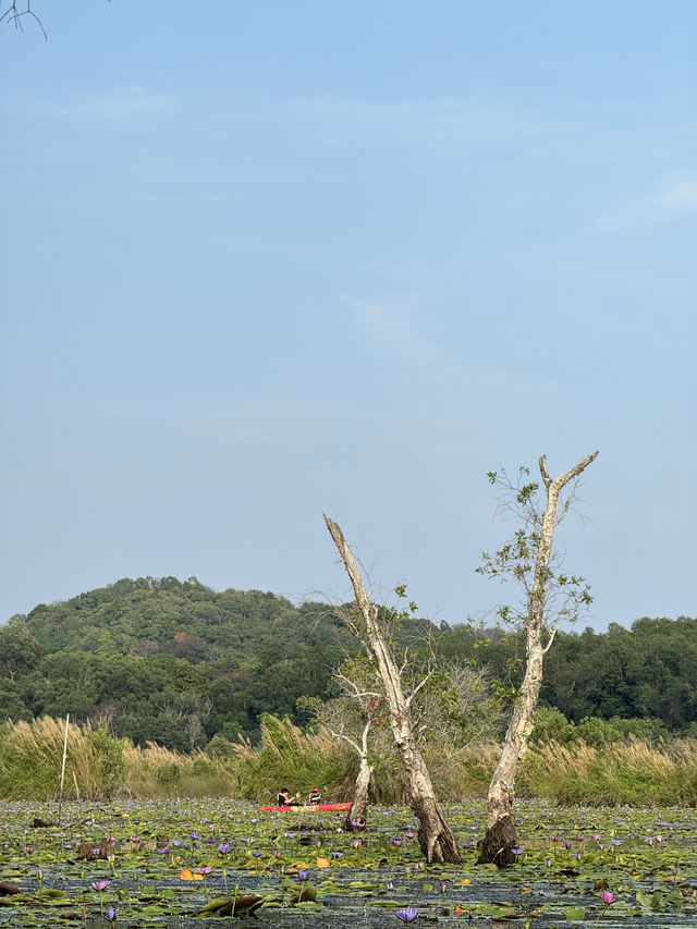 สวนพฤกษศาสตร์ | ระยอง 🚣🏻‍♂️🌳🌿☀️
