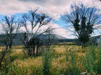 Rocky Plain Campground