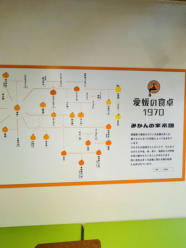 【愛媛県】全国初！蛇口からみかんジュース専門店！！