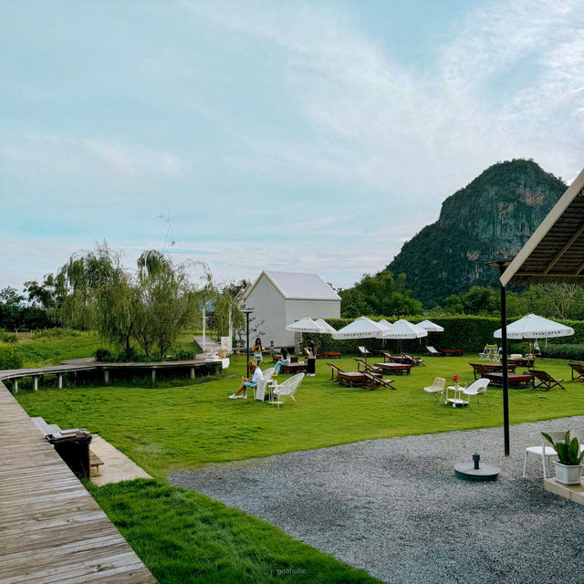 ผาม่านฝัน : ภูผาม่าน ขอนแก่น 🌳🍃🏞️