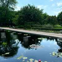 Stonor Park and Gardens - 歷史文化與自然景觀的完美結合