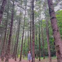 여름에 더욱 기대되는 #영월여행 다녀왔어요🌳