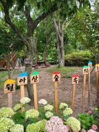 가족나들이하기 좋은 월아산 숲속의 진주