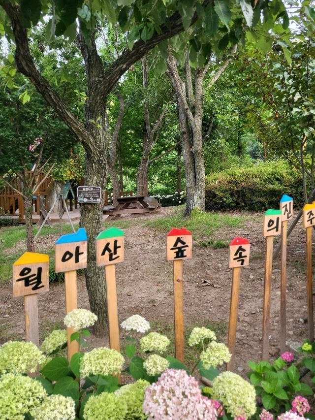 가족나들이하기 좋은 월아산 숲속의 진주