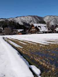 「白川鄉」我們終於來了！