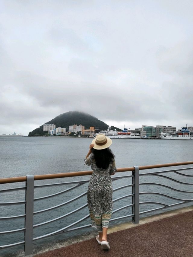 국립해양박물관옆 수국이 핀 힐링공원