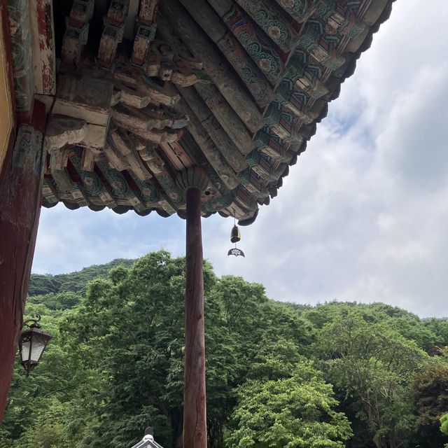 구례 필수 코스! 사계절이 모두 아름다운 구례 화엄사!