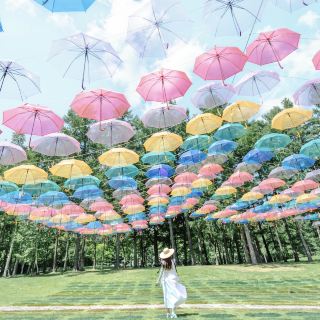 【北海道】初夏北海道之旅的推薦景點！