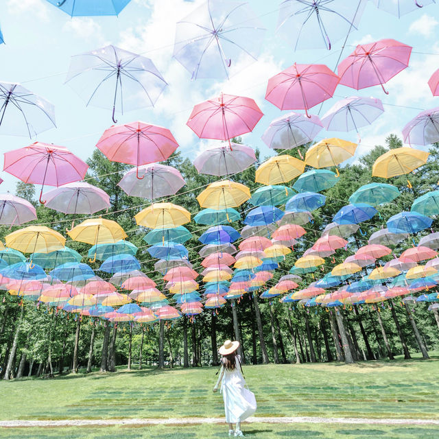 【北海道】初夏の北海道を堪能できるスポット！