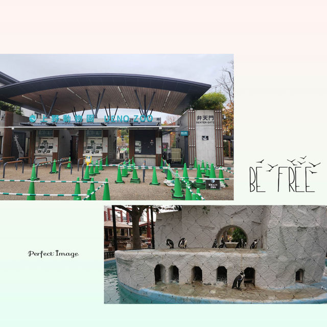 交通便利嘅動物園