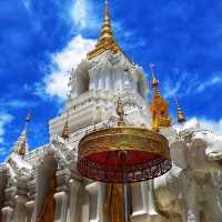 กราบสักการะพระศรีสัพพัญญู ณ วัดขัวแคร่