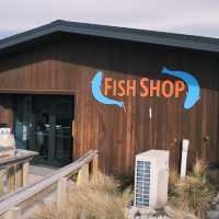 CATCH YOUR OWN FISH HERE IN NZ! 