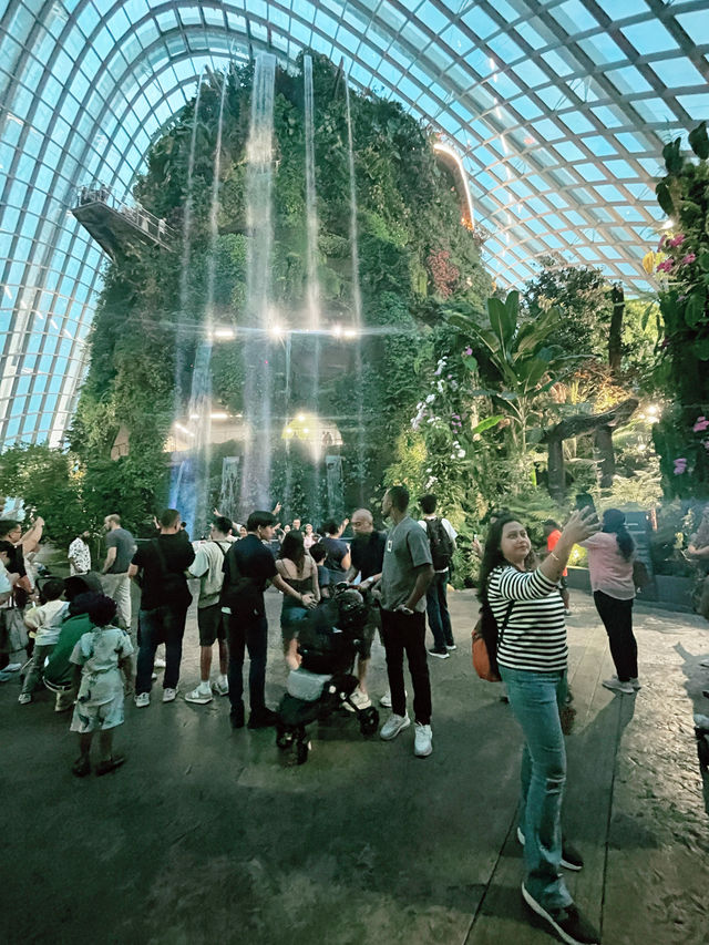 Gardens by the Bay: A Vertical Garden Wonderland