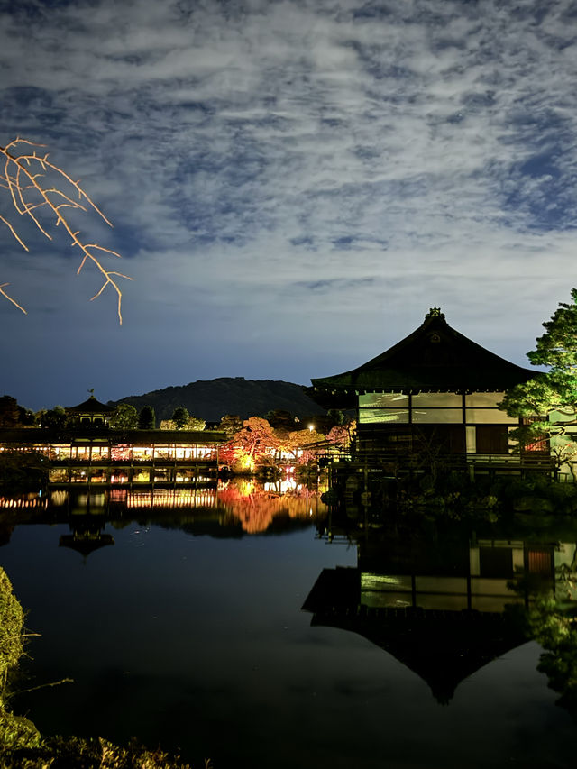 〜京都府〜ヨルモウデin平安神宮
