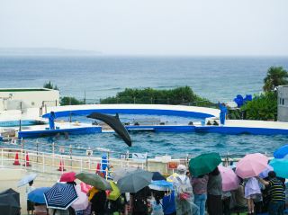 오키나와 여행에서 놓치지 말아야 할 명소들 🏝️🌺