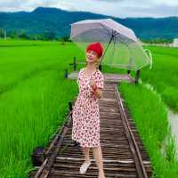 ทุ่งนาตานันท์