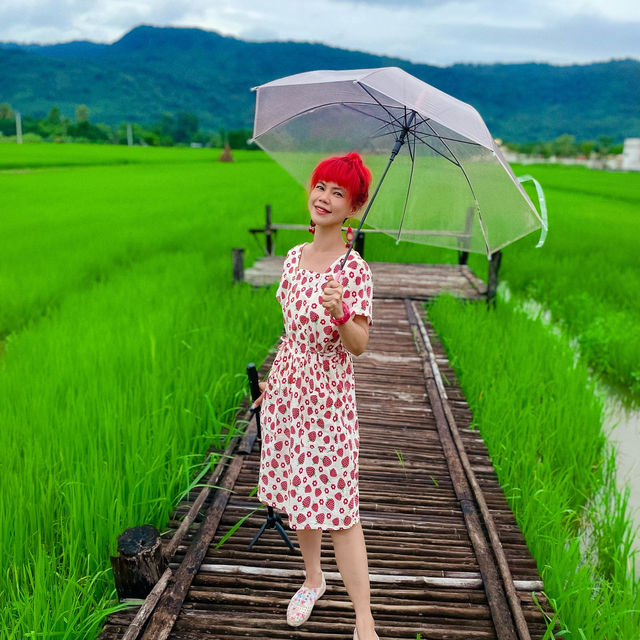ทุ่งนาตานันท์