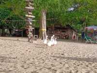เกาะล้าน รอบที่ล้านก็ไม่เบื่อ
