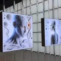 【8月好去處】上海科技館：科普教育、展覽展示於一身
