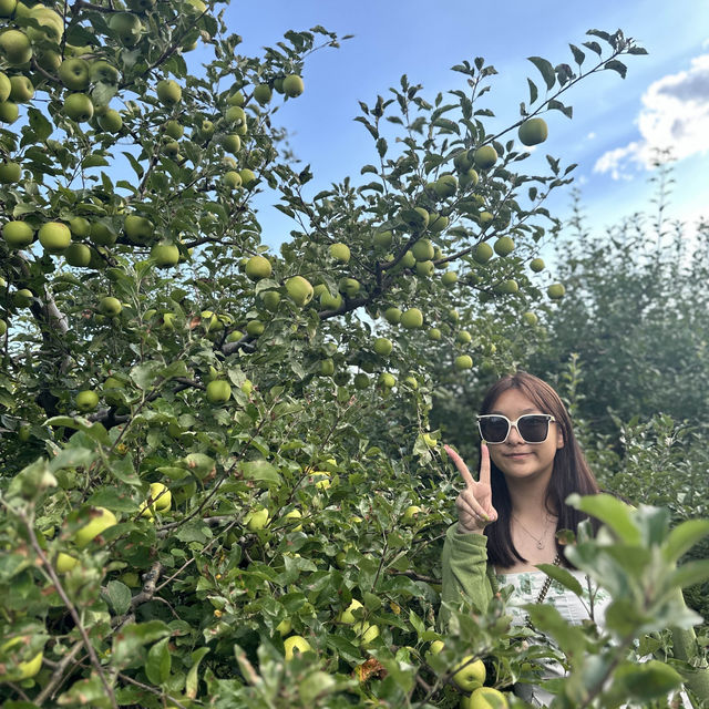 【雲南之旅】洱海聖托里尼酒店，壯麗山峰