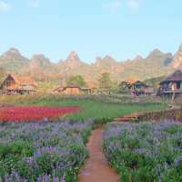 ไร่ภูผาหมวก ที่พักแสนสงบกลางทุ่งดอกไม้และสายหมอก