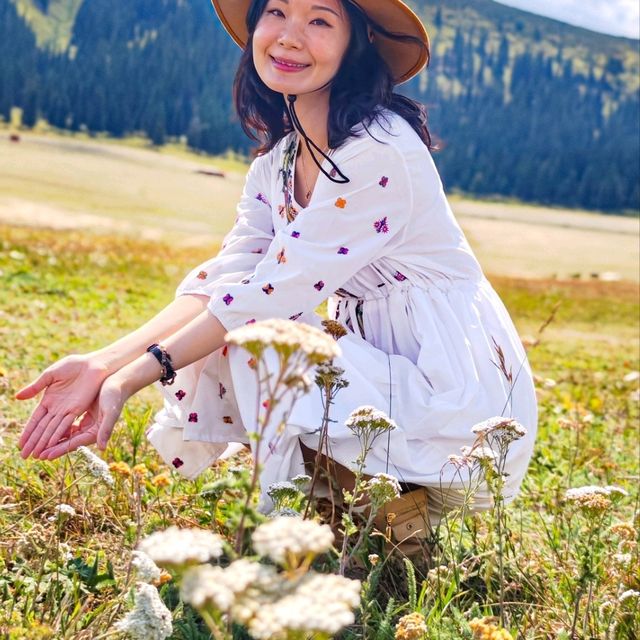 伊犁的藍，天空下草原旁的藍--賽里木湖