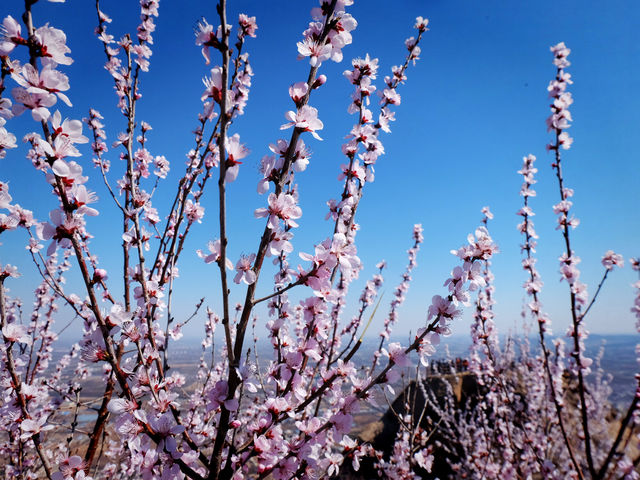 Fenghuangling Nature Park