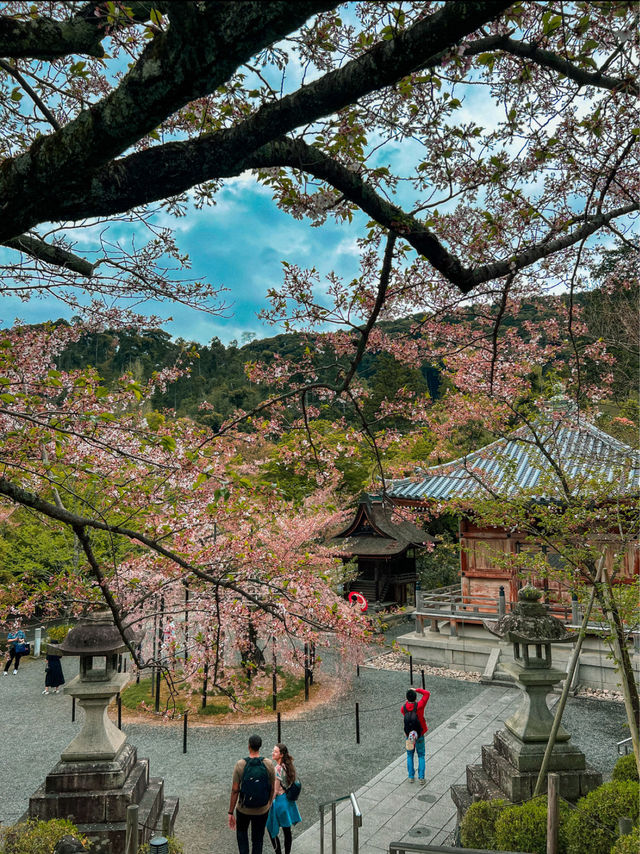 Stunning Views of Kyoto from Kiyomizu-dera ⛩️ 