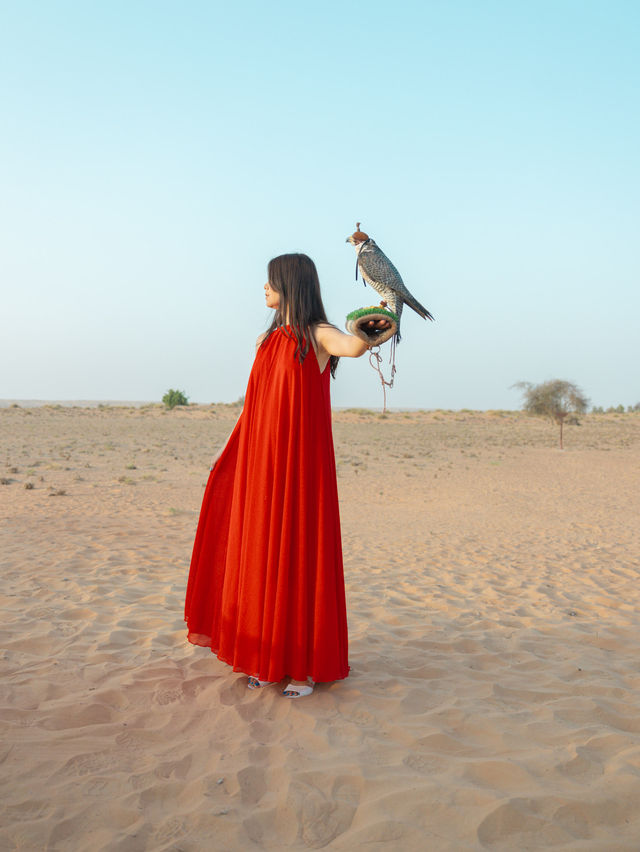 【UAE】ドバイで砂漠ならではのアクティビティ