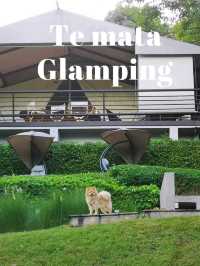 Te Mata Glamping สุดหรู มีพ่อบ้านประจำการ