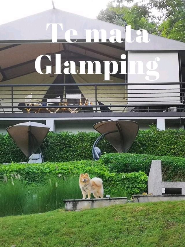 Te Mata Glamping สุดหรู มีพ่อบ้านประจำการ