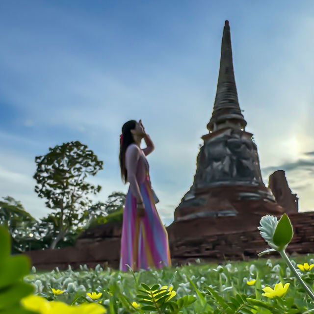 Divine Encounter: The Sacred Buddha Head Entwined in Banyan Roots