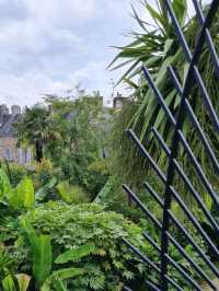 An oasis in the city