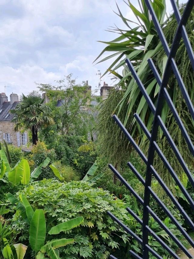An oasis in the city