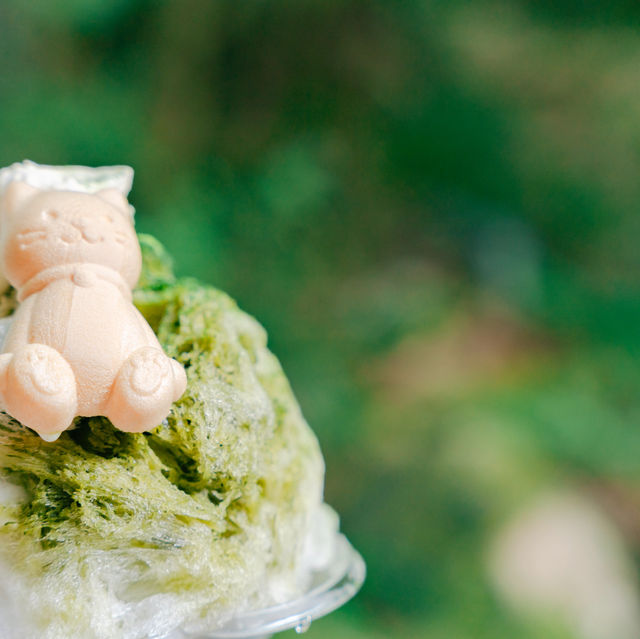 【サウナ好き必見】かき氷を日本で1番美味しくたべれるサウナ🍧