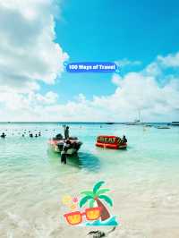 🇲🇺 Whale and Dolphin seascapes at Ile aux Benitiers