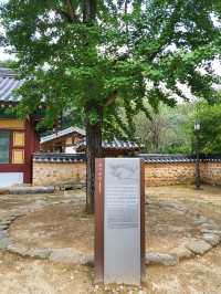 한국의 9대 서원중 하나인 장성 필암서원