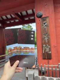 宇治最大景點🙆🏻‍♀️平等院😎特色古典日本風情😍