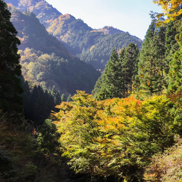 殿川內溪谷