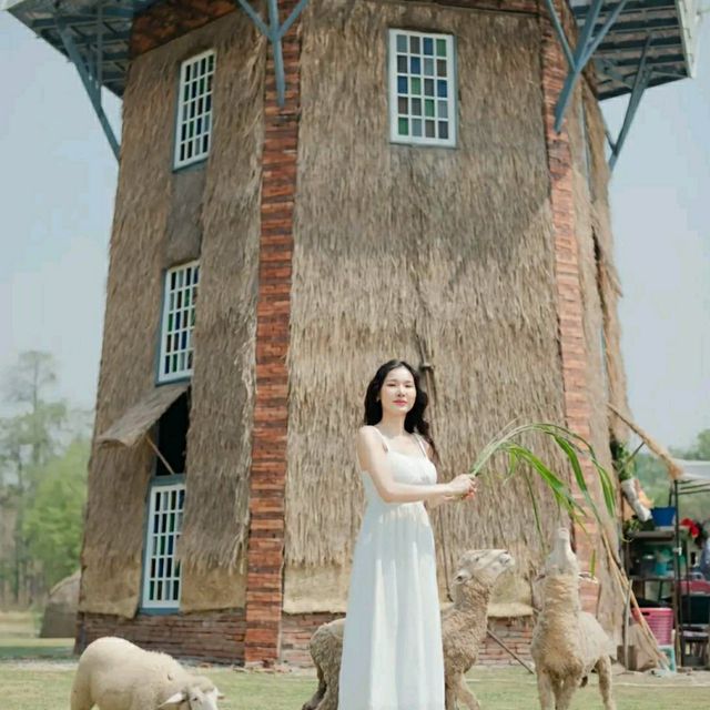 ห้วยตึงเฒ่า