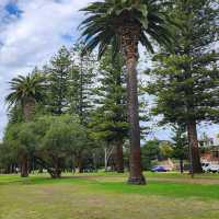 Birdwatcher’s Paradise in the Heart of the City