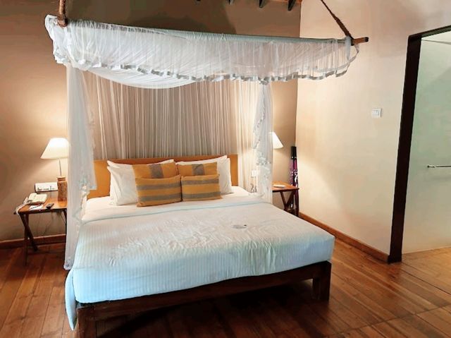 Cinnamon Wild Yala