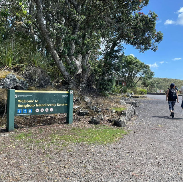 A Day Trip to Rangitoto Island