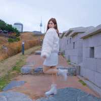Namsan Park #seoul #southkorea 