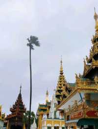 Discovering Yangon: A Day of Local Markets and Authentic Flavors